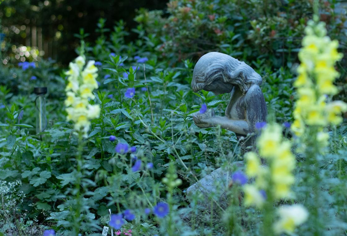 Photograph of a sculpture of a girl holding a flower in a garden.
