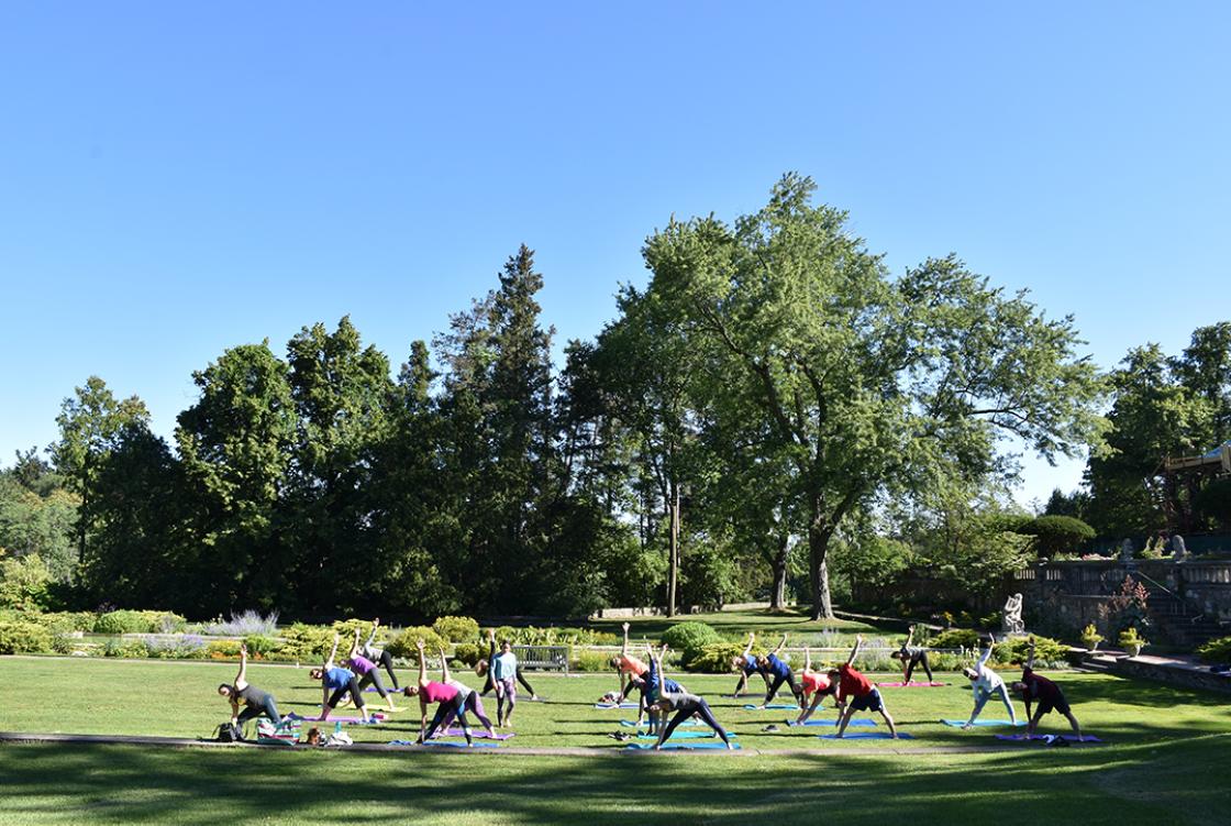 Photograph of a Yoga in the Gardens class at Cranbrook House & Gardens, summer 2017.