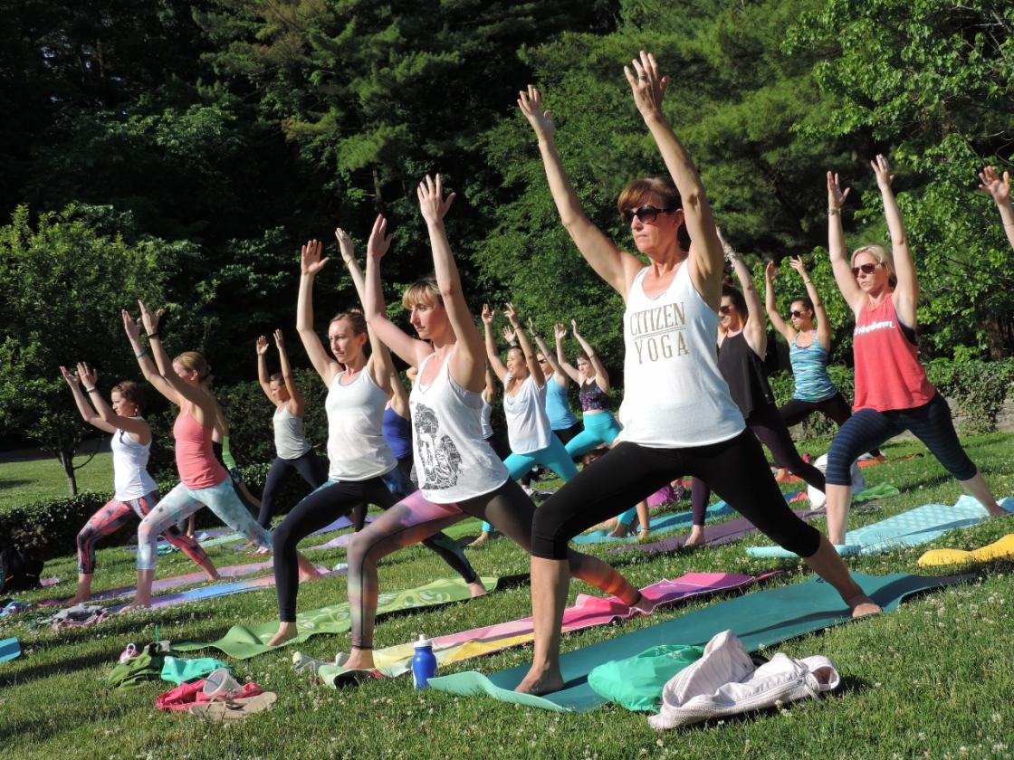 Citizen Yoga Yogi at The Yoga Movement at Cranbrook Gardens 2016