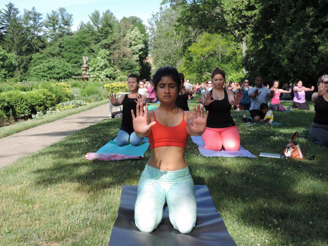 Yogi at the Yoga Movement at Cranbrook Gardens 2016