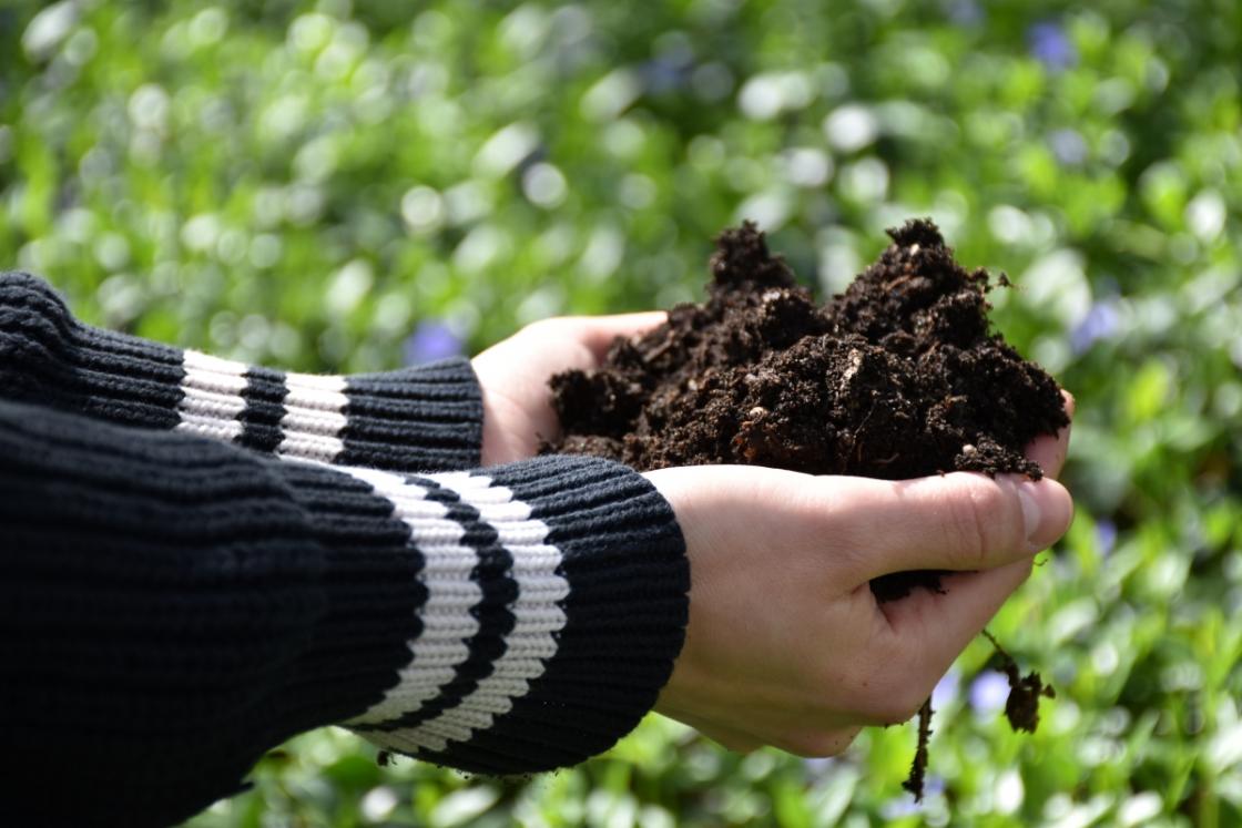 Photograph of a person holding soil in their hands at Cranbrook Gardens.