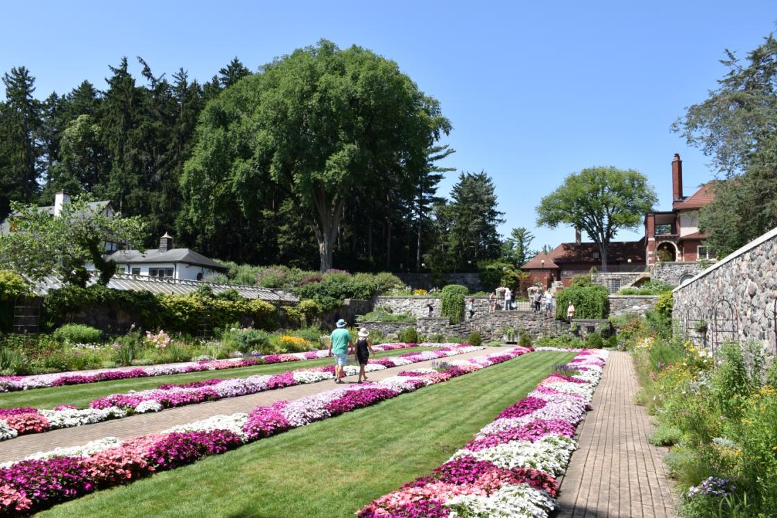 Photo of two people walking through the Sunken Garden at Cranbrook.