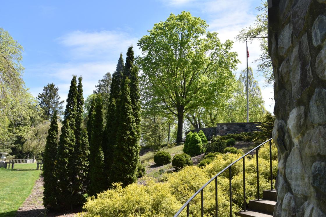 Photograph of Conifer Hill at Cranbrook Gardens.