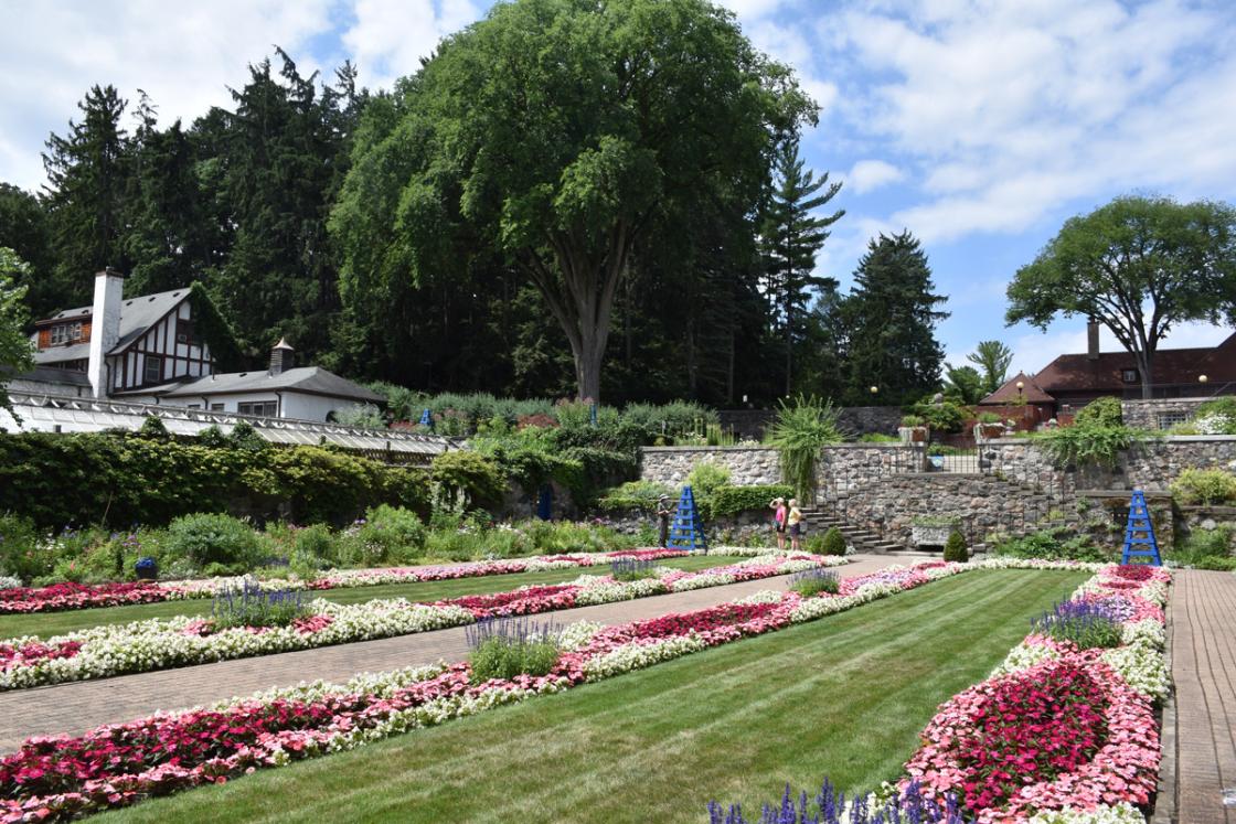 Yoga in the Gardens  Cranbrook House and Gardens