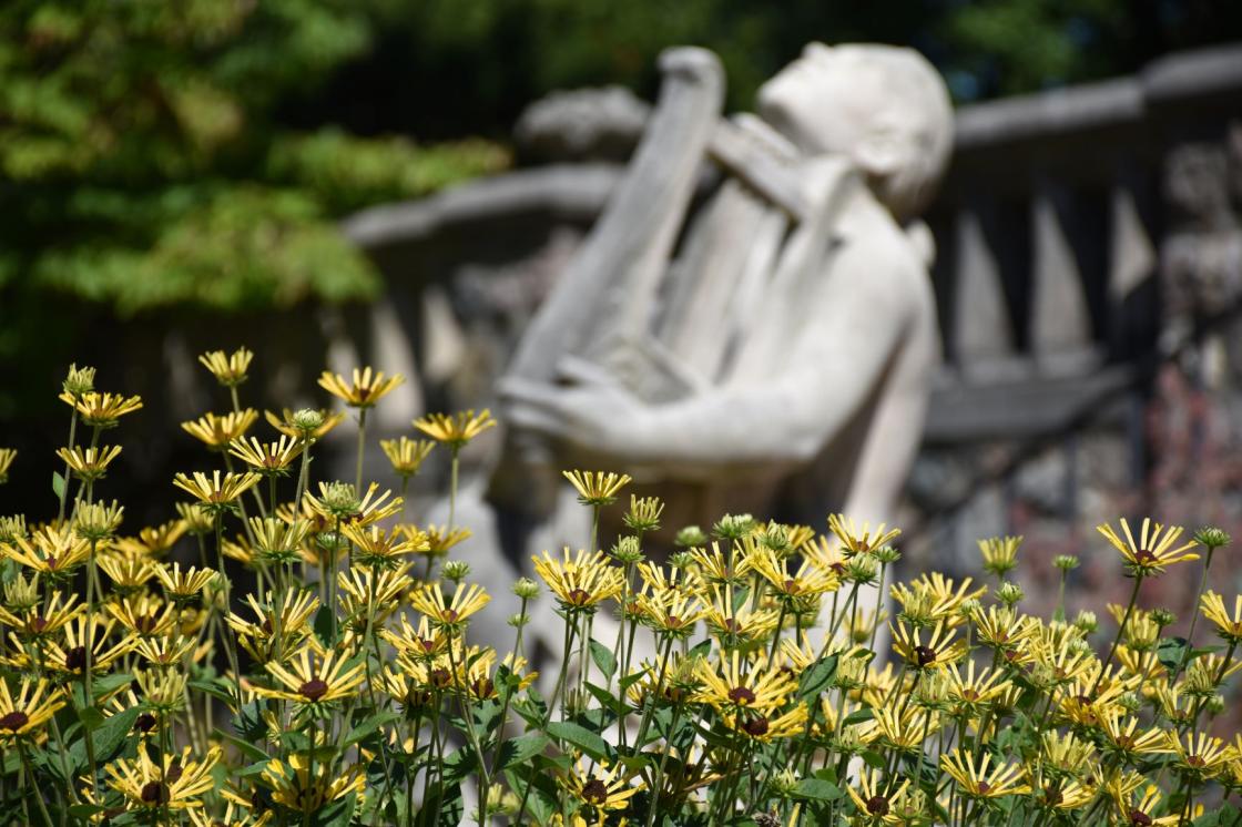 Photograph of Harmony at the Reflecting Pool at Cranbrook House & Gardens, summer 2020.