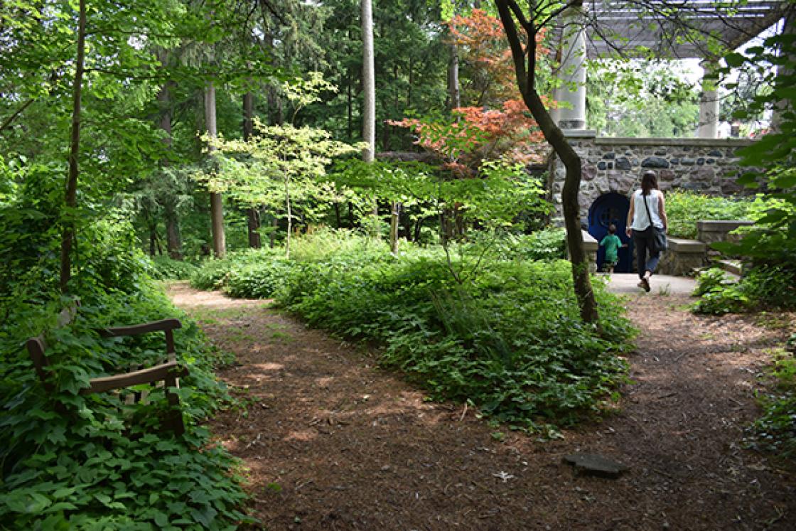 Photograph of visitors in the Native Plant Garden at Cranbrook House & Gardens.