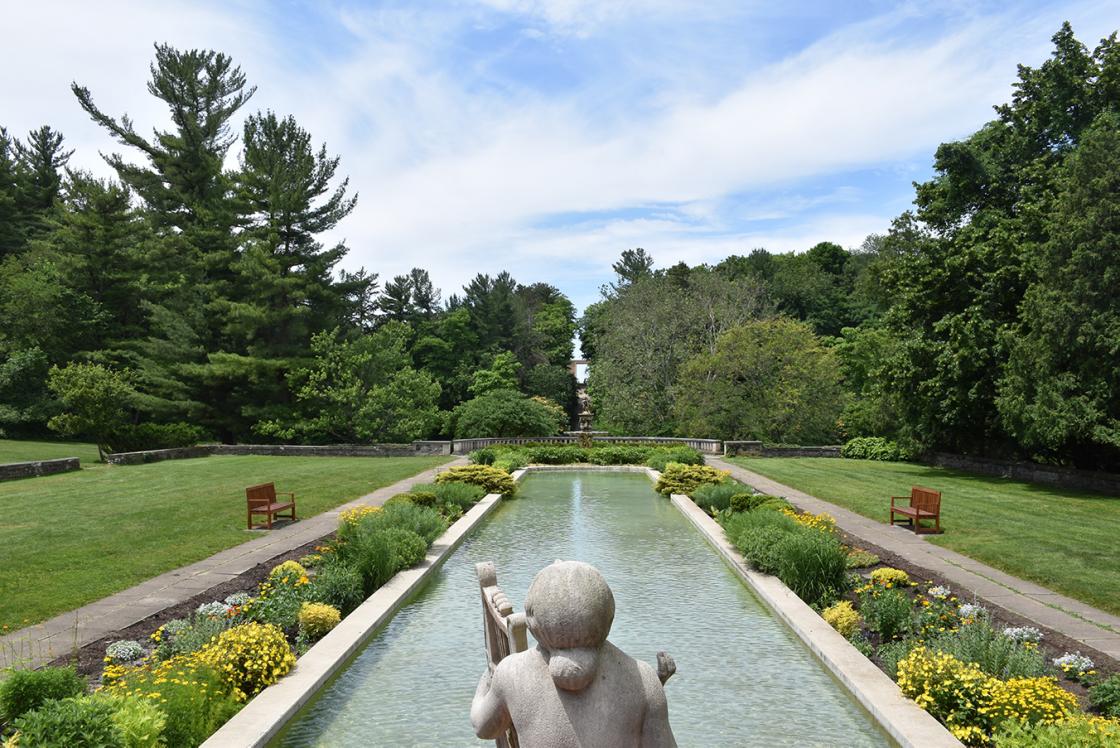 Photograph of the Reflecting Pool at Cranbrook House & Gardens, summer 2019. Photograph by Eric Franchy. Copyright Cranbrook House & Gardens.