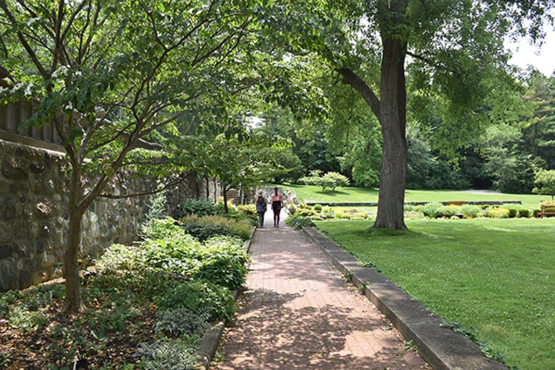 Photograph of two visitors walking through the Shady Walk at Cranbrook House & Gardens, summer 2019.