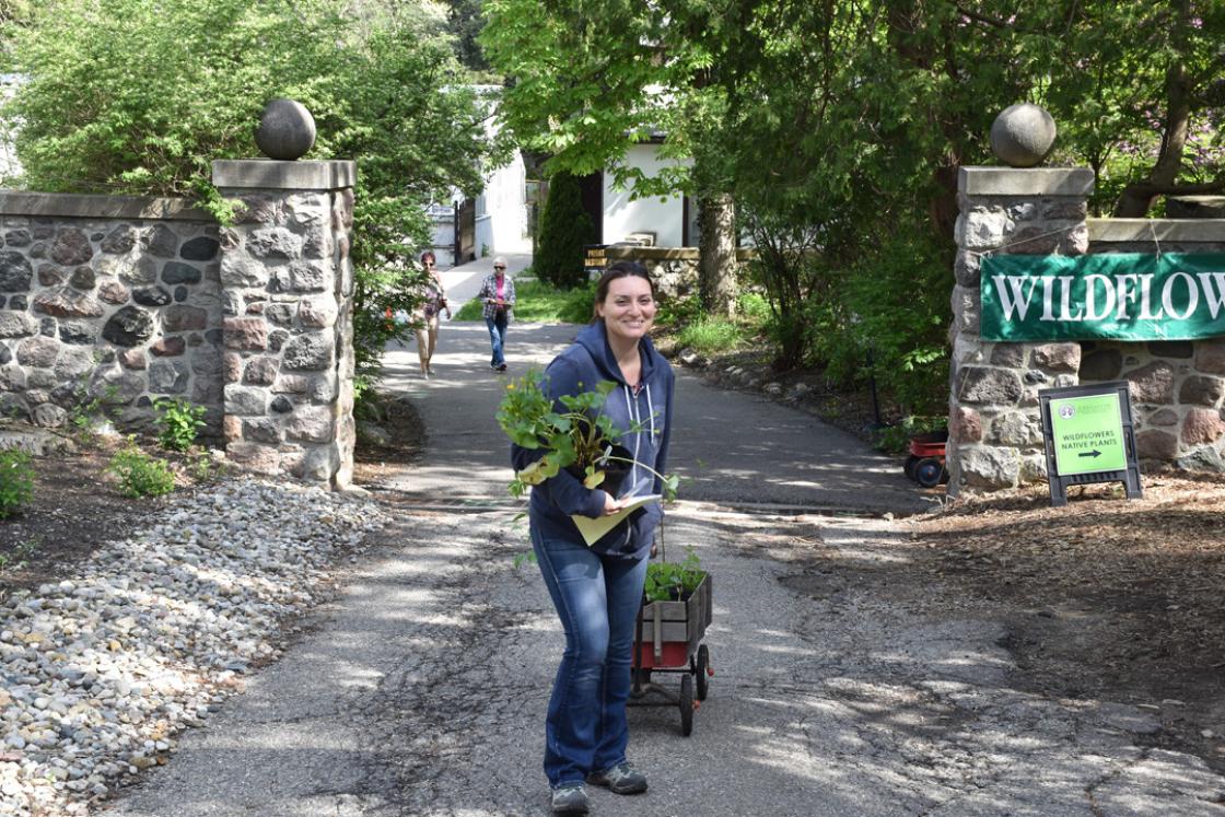 Cranbrook House & Gardens Spring Plant Sale 2018 - Happy Guest