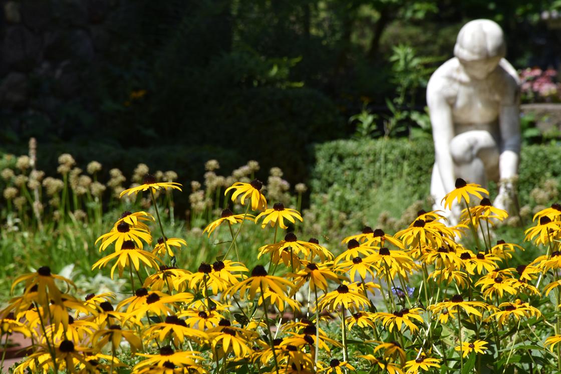 Photograph of the Herb Garden