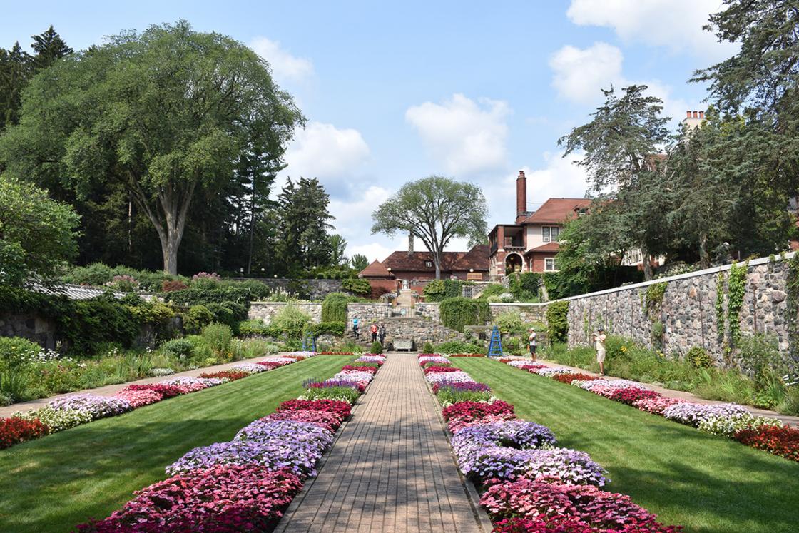 Photograph of the Sunken Garden at Cranbrook Gardens, August 2020.