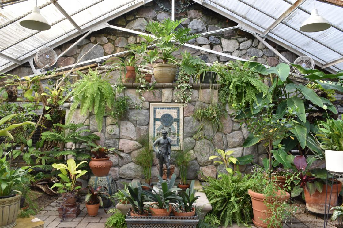 Photograph of the Conservatory Greenhouse