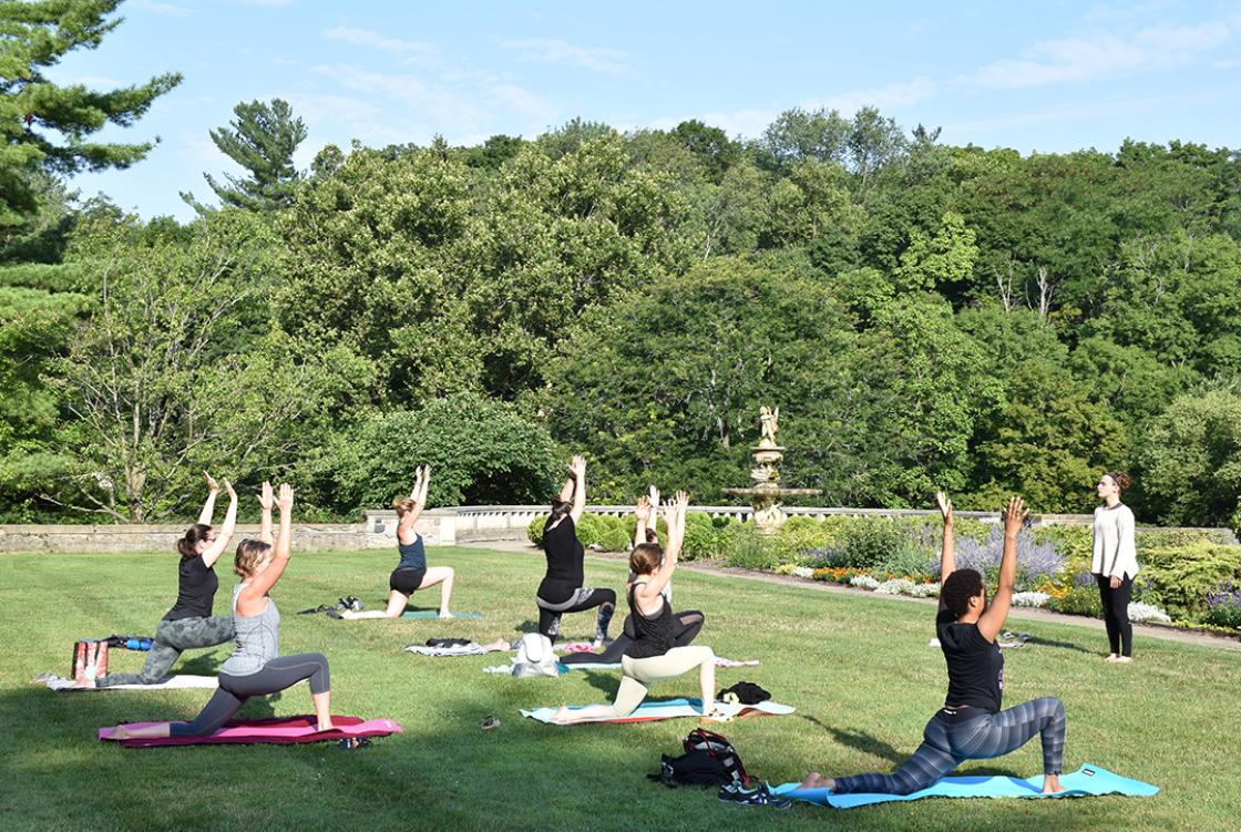 Yoga in the Gardens Cranbrook House and Gardens