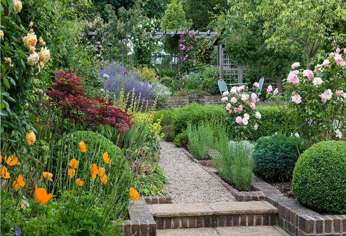 Photograph of Laurie Tennent's botanicals at Cranbrook