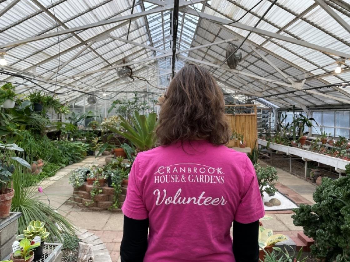 Photograph of a volunteer in the Greenhouse at Cranbrook.