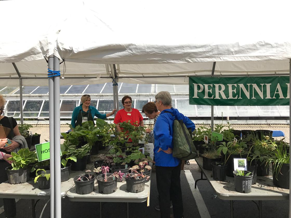 Volunteers at the Cranbrook House & Gardens Spring Plant Sale 2017.