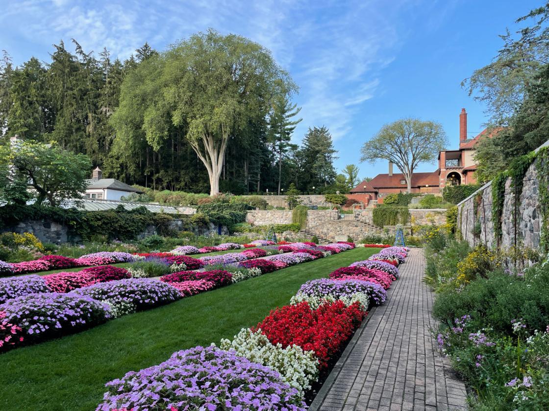 Photograph of the Sunken Garden, summer 2021.