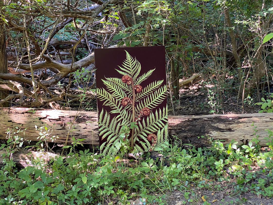 Photograph of Laurie Tennent botanicals